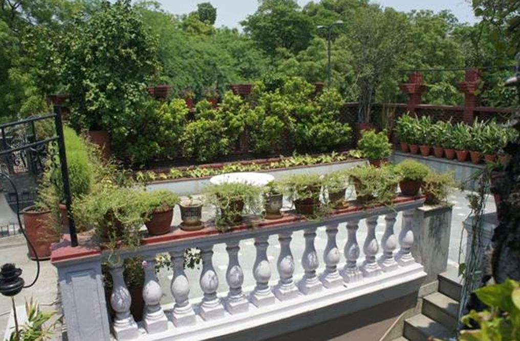 Sirohi House Нью-Дели Экстерьер фото