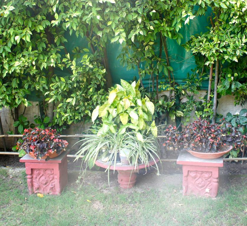 Sirohi House Нью-Дели Экстерьер фото