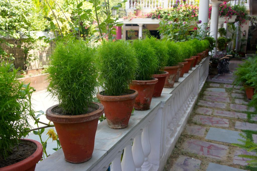 Sirohi House Нью-Дели Экстерьер фото